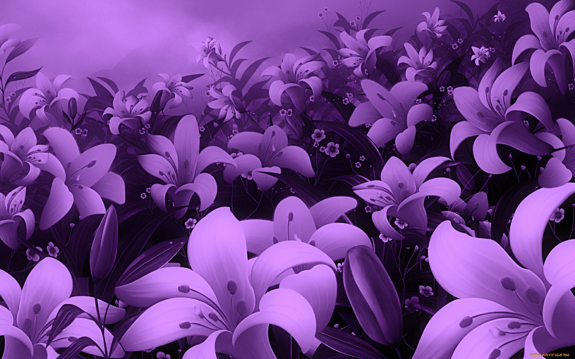 3, , flowers, 